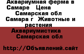 Аквариумная ферма в Самаре › Цена ­ 12 000 - Самарская обл., Самара г. Животные и растения » Аквариумистика   . Самарская обл.